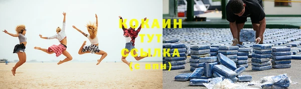 молекула духа Бердск