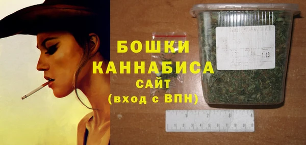 твердый Мегион
