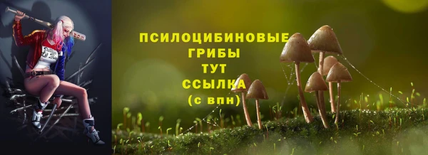 стаф Беломорск