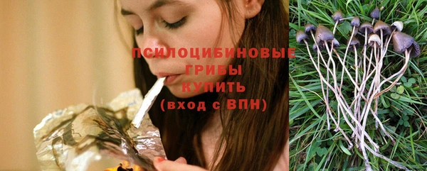 твердый Мегион