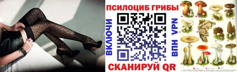 Галлюциногенные грибы Cubensis  Коломна 