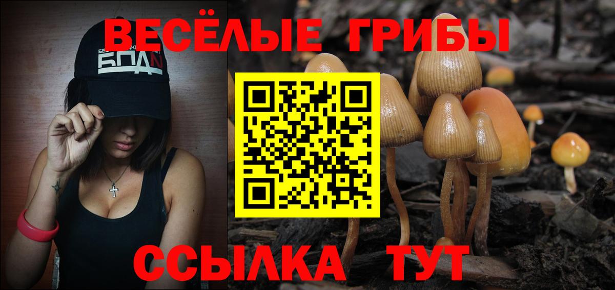 Псилоцибиновые грибы MAGIC MUSHROOMS  Галлюциногенные грибы Psilocybe  Коломна  Вход с VPN 