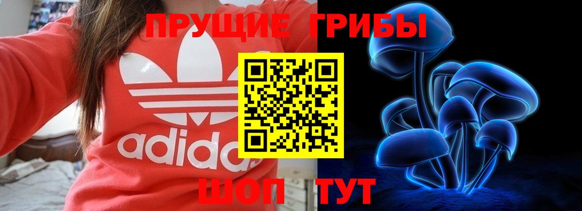 A PVP Коломна