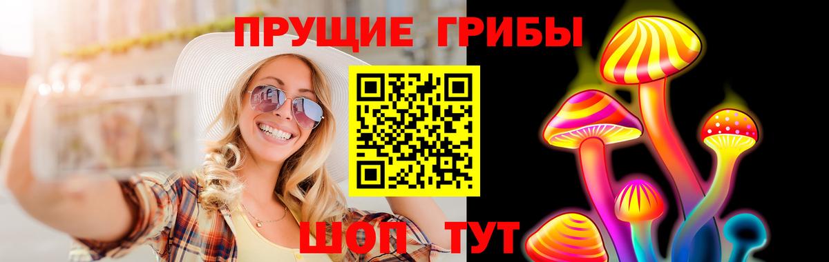 Псилоцибиновые грибы Psilocybine cubensis Коломна